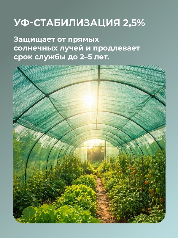 /upload/resize_cache/iblock/a65/800_800_0/l1i9a5r6zv92fuvaa5m0bnlcd0qx0g8c.jpg