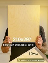 Фанера 210x297x10 мм, береза, упаковка 1 шт. Купить Фанера 210x297x10 мм, береза, упаковка 1 шт.