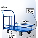 Платформенная тележка Промышленник 1000х600 ПБМ-6.10 125 ммс бортиком фото 2